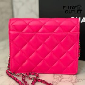 Micro Rosa 14 cm