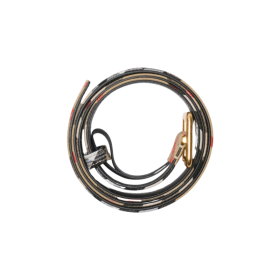Check B-Schnallen Gürtel Preis 3cm