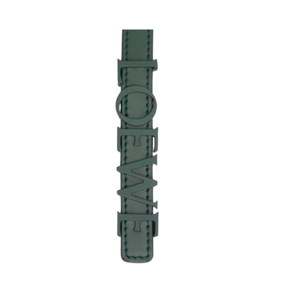 LOEWE Gürtel aus glattem Kalbsleder 1.8cm
