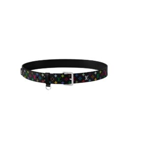 D-Ring-Gürtel 3cm