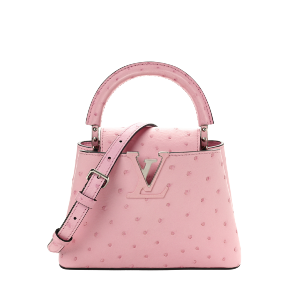 Ostrich Capucines Mini Pink 20cm