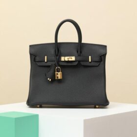 Birkin 25 Togo/Schwarz Gold