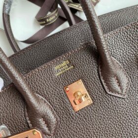 Birkin 25 Togo Schokolade/Gold