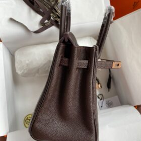 Birkin 25 Togo Schokolade/Gold