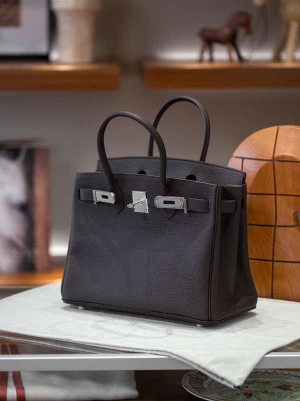 Birkin 30 Togo/Braun Silver