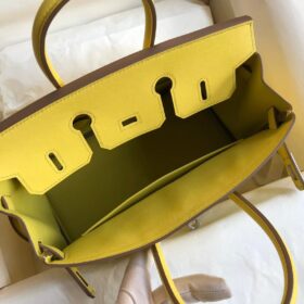 Birkin Lime Swift Palladium Gelb/Silber 25 cm