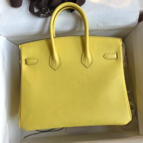 Birkin Lime Swift Palladium Gelb/Silber 25 cm