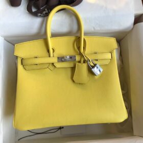 Birkin Lime Swift Palladium Gelb/Silber 25 cm