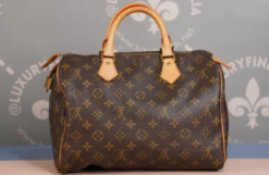 Speedy Monogram Braun 30 cm