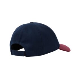 Logo Drill Blau