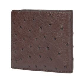 Ostrich Bifold Braun 3.6 cm
