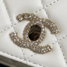 Clutch mit Kette 18 cm