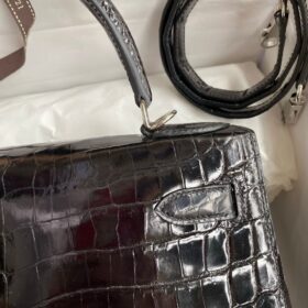 Kelly Alligator Schwarz/Silber 25cm