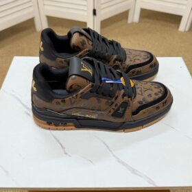 Trainer  Braun