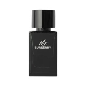 Mr. Burberry (100Ml)