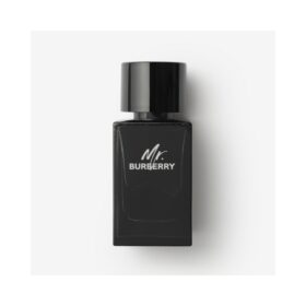 Mr. Burberry (100Ml)