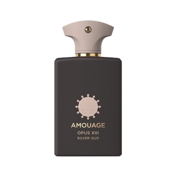 Die Library Kollektion Opus XIII Silver Oud (100 ml)