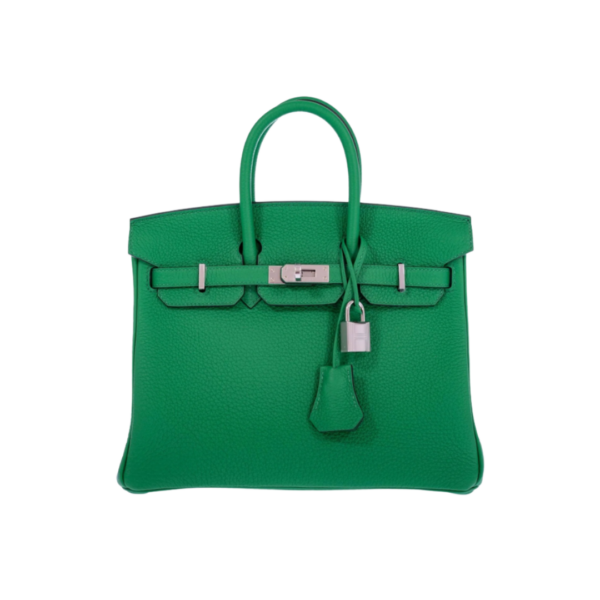Birkin Togo Grün/Silber 35