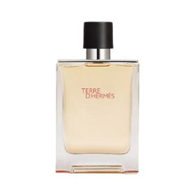 Terre D'Hermes Eau De Toilette (100Ml)