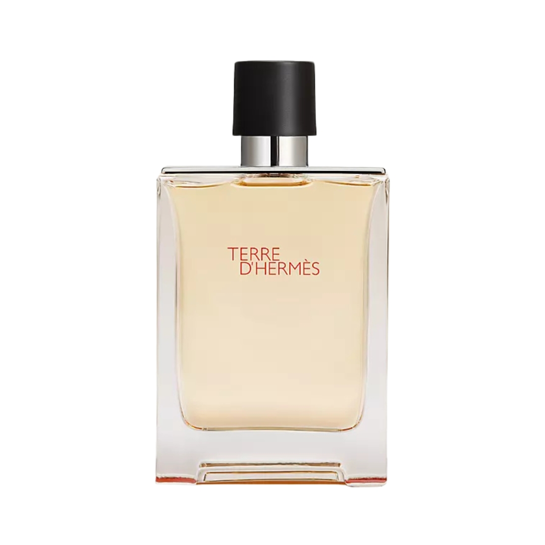 Terre D'Hermes Eau De Toilette (100Ml)