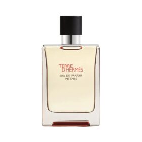 Terre D'Hermes Intense (100Ml)