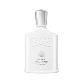 Sliver Mountain Water (100Ml)