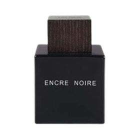 Encre Noire (100Ml)