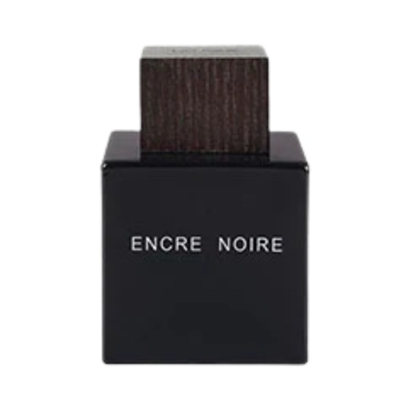 Encre Noire (100Ml)