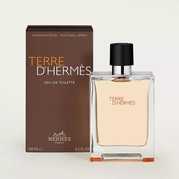 Terre D'Hermes Eau De Toilette (100Ml)