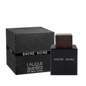 Encre Noire (100Ml)