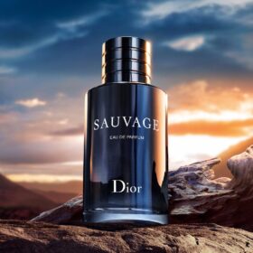 Sauvage Eau De Parfum (100Ml)