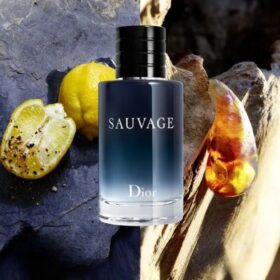 Sauvage Eau De Toilette (100Ml)