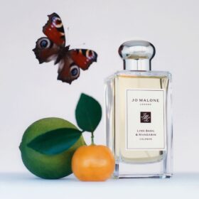 Lime Basil & Mandarin (100Ml)