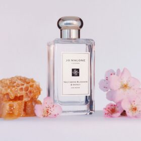 Nectarine Blossom & Honey (100Ml)