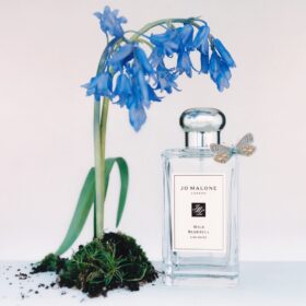 Wild Bluebell (100Ml)