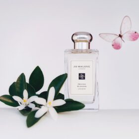 Orange Blossom (100Ml)