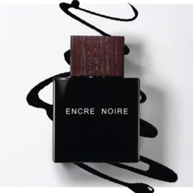 Encre Noire (100Ml)