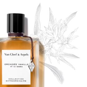 Orchidee Vanille (75Ml)