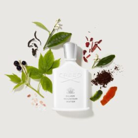 Sliver Mountain Water (100Ml)