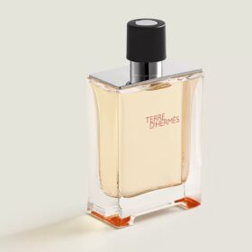Terre D'Hermes Eau De Toilette (100Ml)