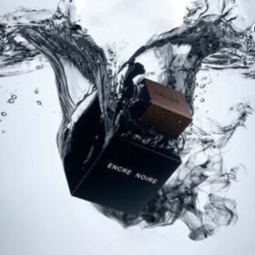 Encre Noire (100Ml)