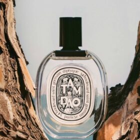 Tam Dao Edt (100Ml)