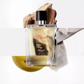 Terre D'Hermes Eau De Toilette (100Ml)