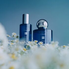 Moonlit Camomile (100Ml)