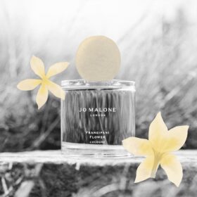 The Blossoms- Frangipani Flower (100Ml)