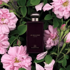 Taif Rose (100Ml)
