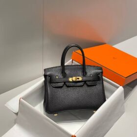 Birkin Schwarz Togo/ Gold Hardware 20 cm