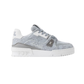 Trainer Grau