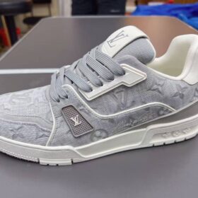 Trainer Grau