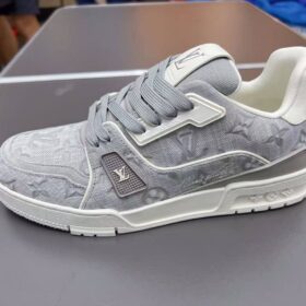 Trainer Grau